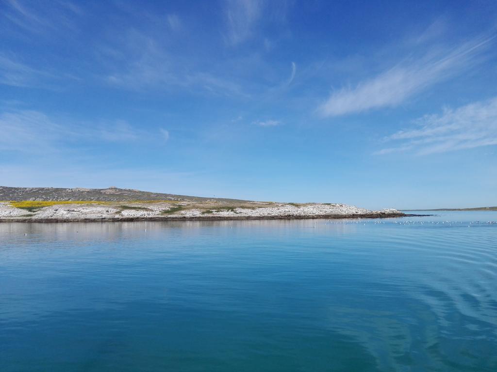 Due South Guest House Langebaan Zewnętrze zdjęcie